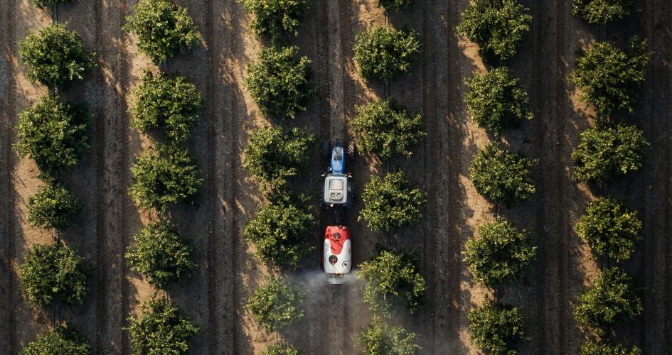 Aerial shot of field