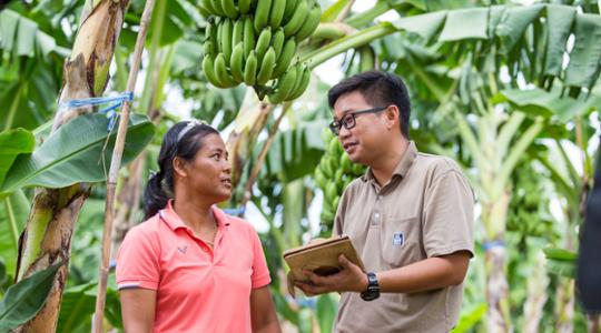 Banana farmer and Yara agronomist in Asia