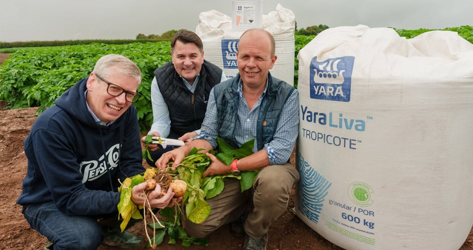 PepsiCo and Yara representatives together with a farmer holding potatoes and next to Yara fertilizer big bags